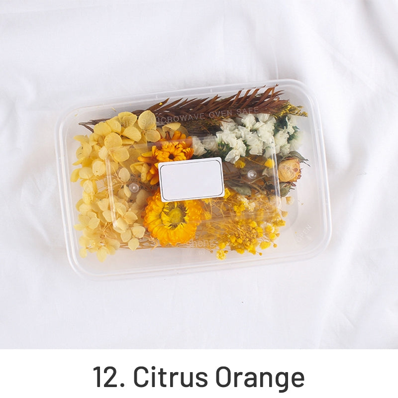 Air-Dried Real Flower Boxed Preserved Floral Material Pack sku-12