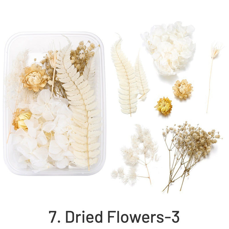 Dekorative Getrocknete Konservierte Blumen in Box sku-7