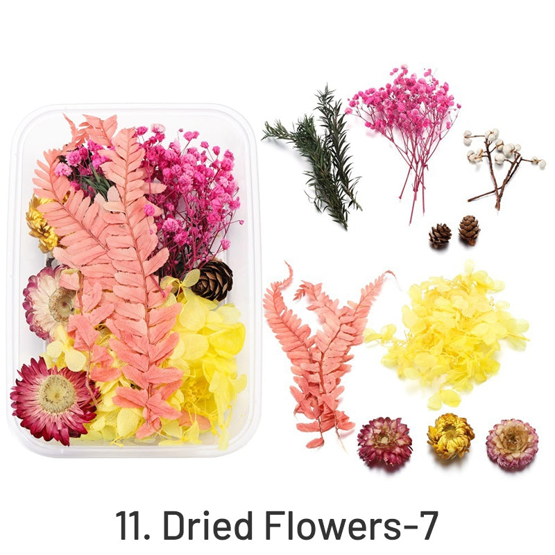 Dekorative getrocknete konservierte Blumen in Box sku-11