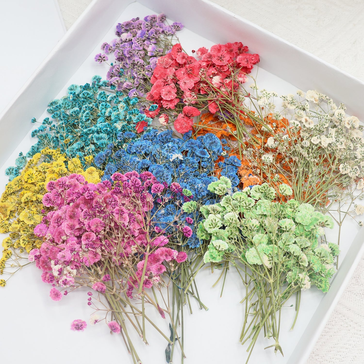 Schleierkraut DIY Trockenblumen Material Paket 1