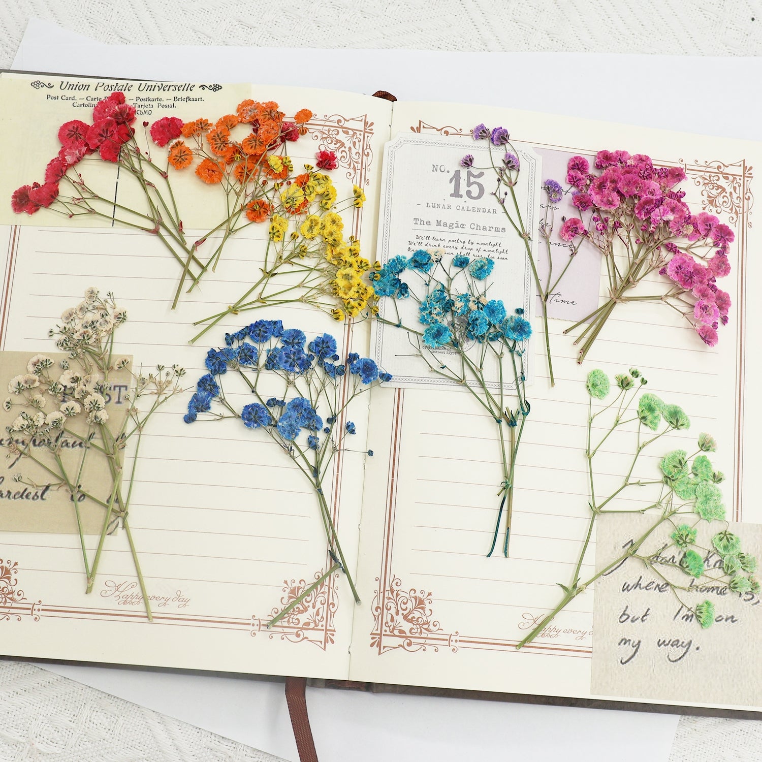 Schleierkraut DIY Trockenblumen Material Pack 4