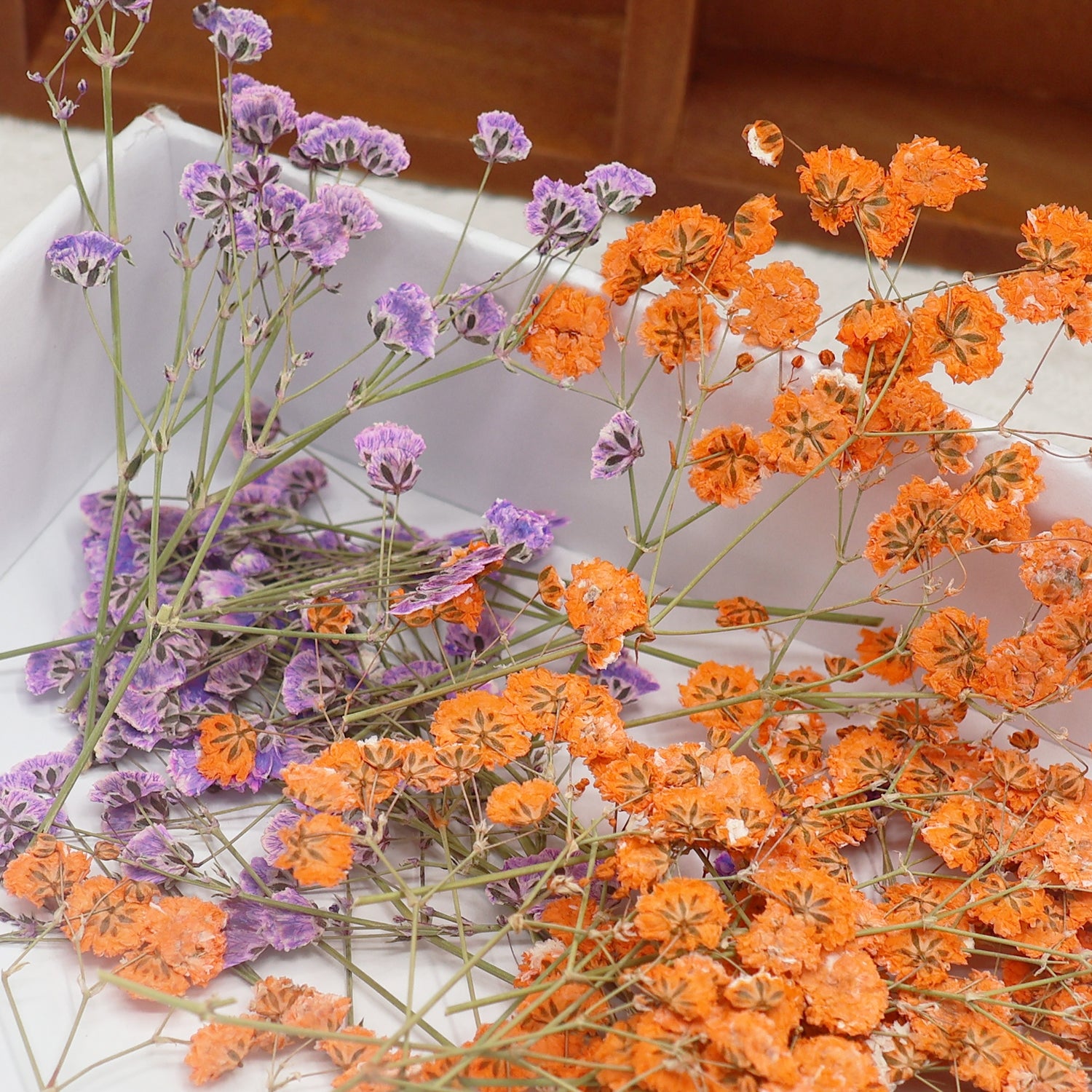 Schleierkraut DIY Trockenblumen Material Pack 2
