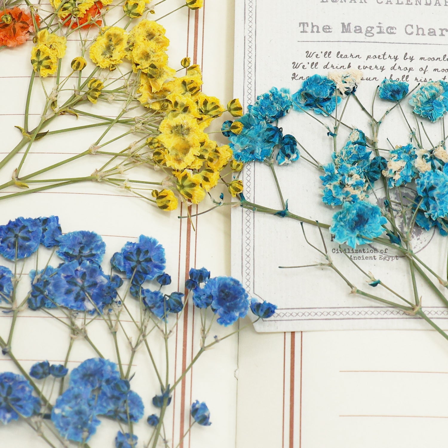 Baby's Breath DIY Getrocknete Blumen Material Paket 5