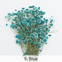 5. Blau