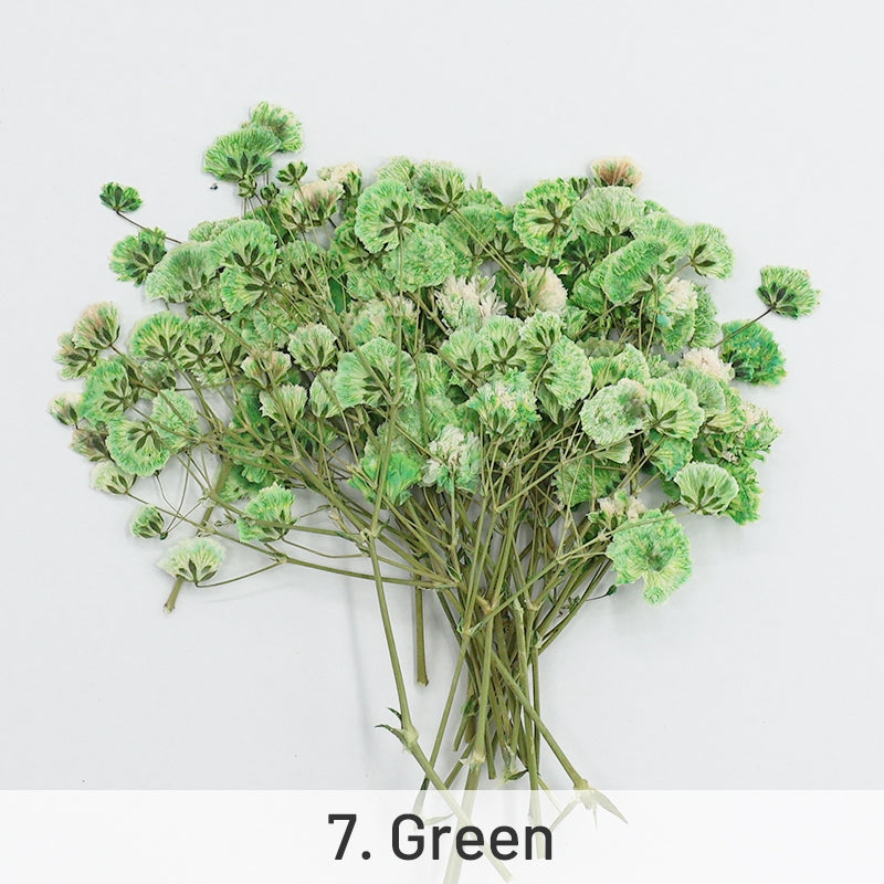 Babys Breath DIY Getrocknete Blumen Material Set sku-7