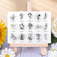 Illustriertes Herbarium