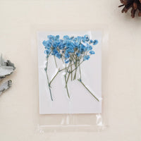 2. Blau
